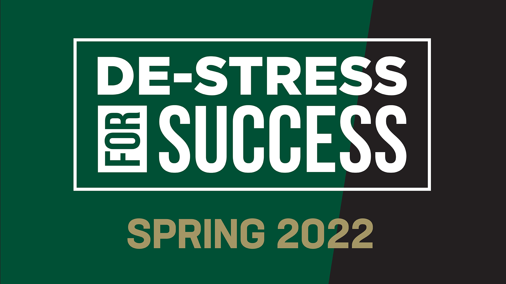 De-Stress for Success